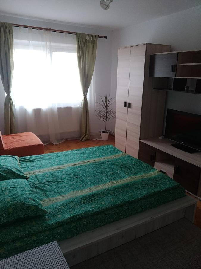 Apartament Erik Leilighet Sibiu Eksteriør bilde
